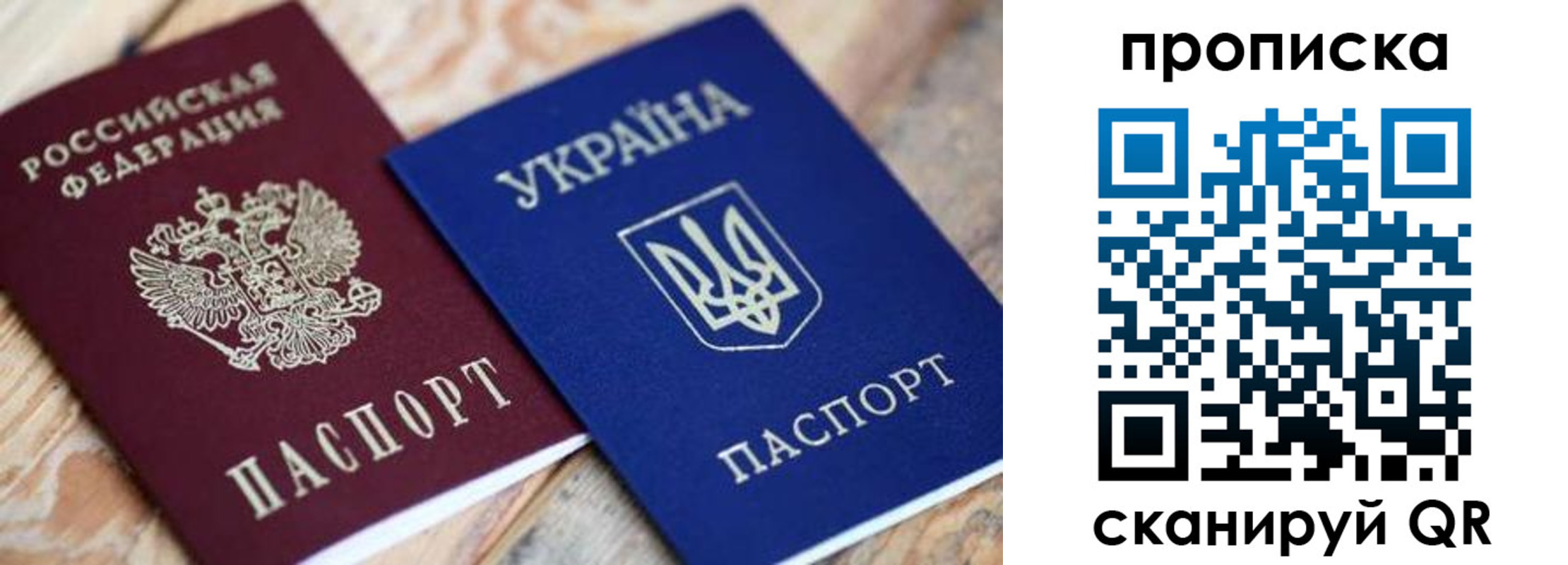 прописка поиск в Ельне